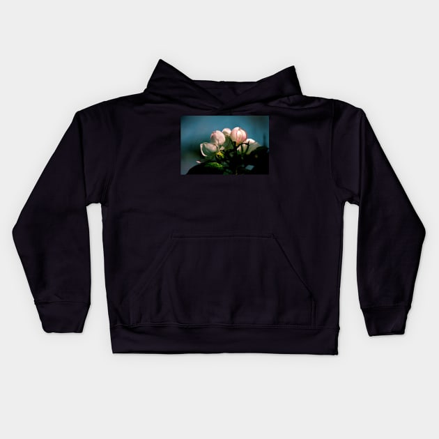 Apple Tree Flower Buds Kids Hoodie by photoclique